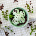 MARSHFIELD FARM Mint Choc Chip Ice Cream Tubs           